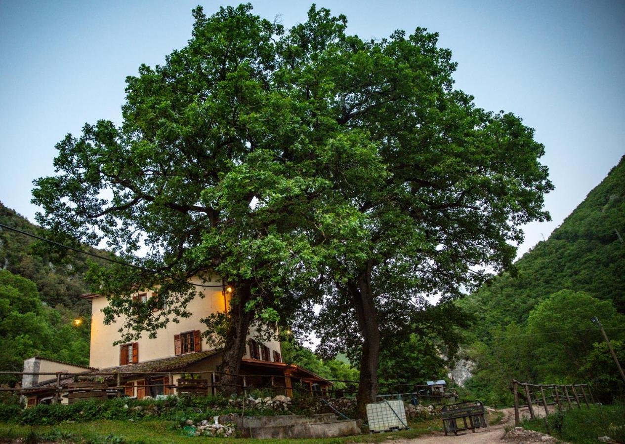Agriturismo Le Due Querce Cerreto di Spoleto Exteriér fotografie